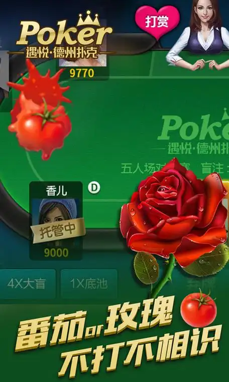 米兰app官方网站登录入口讲解