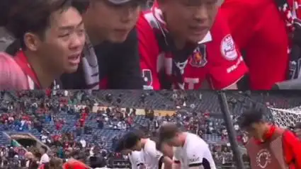 好评