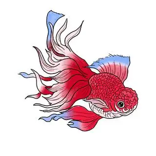 没有得到1次三分出手机会，尼克斯没有激发出强力投手的实力？