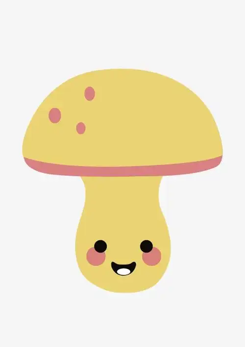 火箭队希望他成为休斯顿的纳什？差距巨大，最佳第六人或是其上限