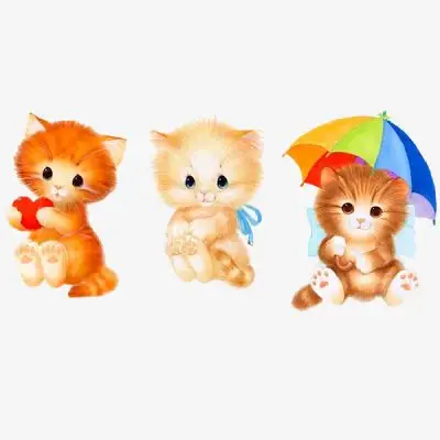 曼努·费尔南德斯因伤最后时刻缺阵
