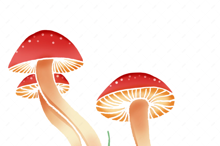 [流言板]环球体育：热苏斯想再留阿森纳一年，等明夏合同到期再离队