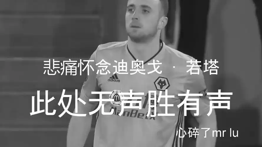 6686官方版app下载讲解