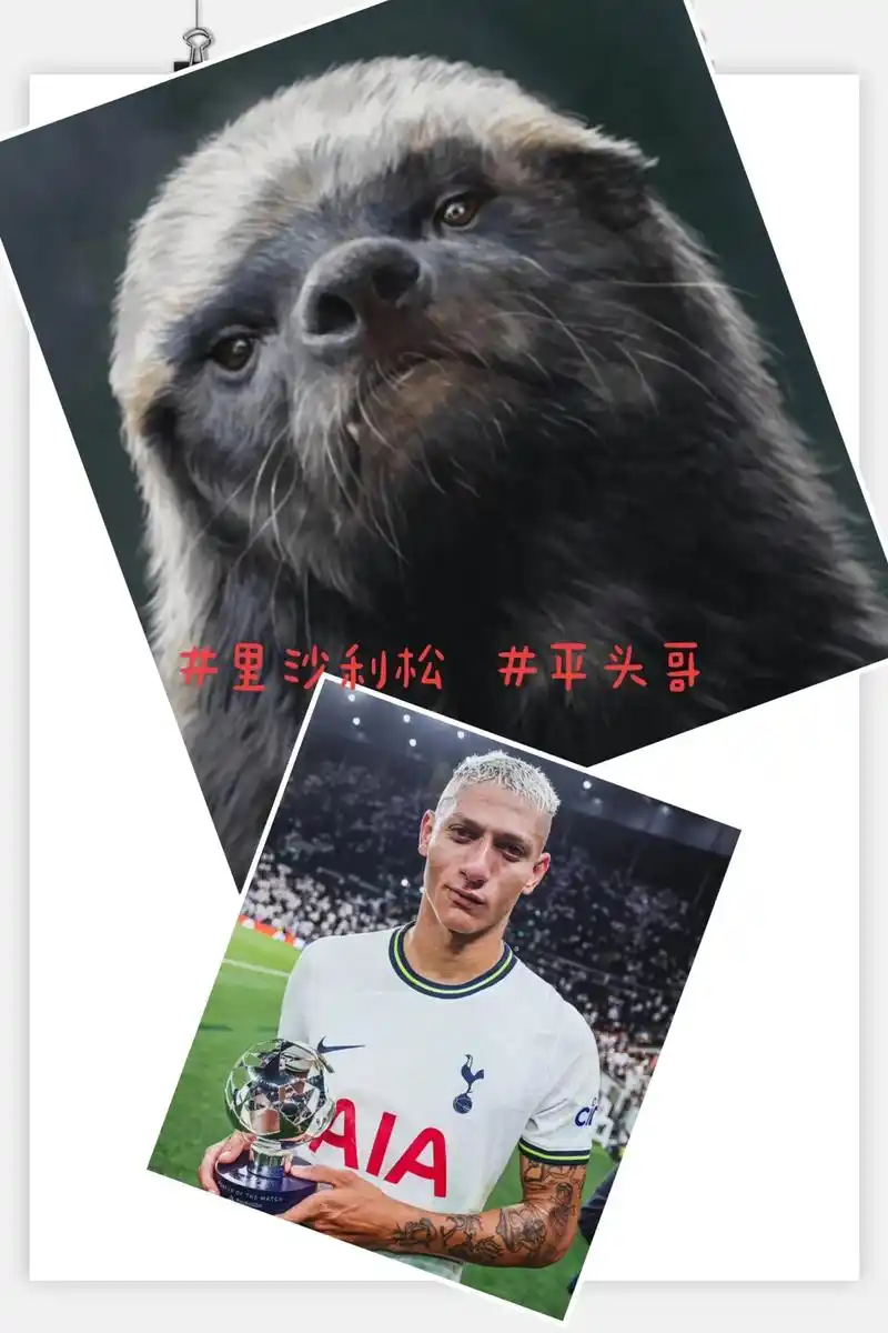 😭难受啊！在主场被淘汰 看台上的北京球迷伤心欲绝泪流满面