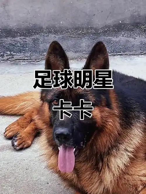 壹号注册链接入口
